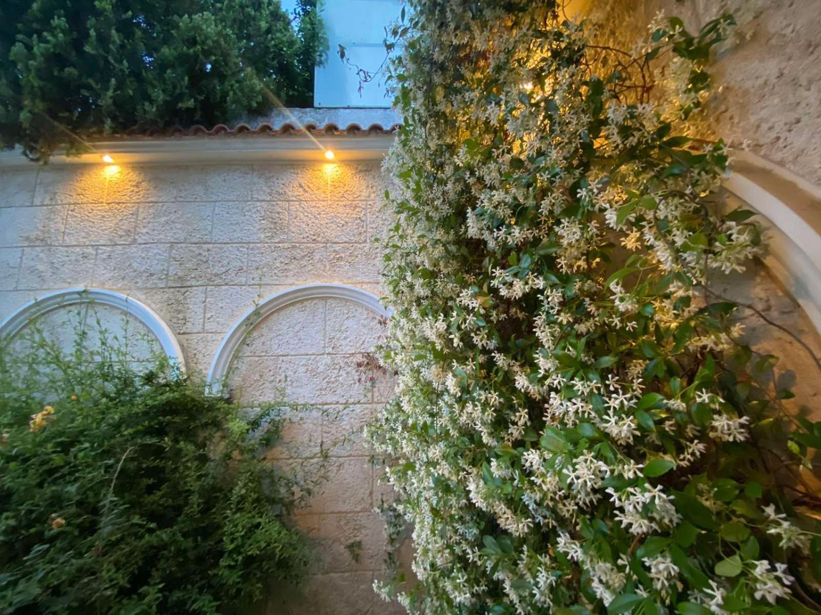 Filidas Apartments Skiathos Town Bagian luar foto